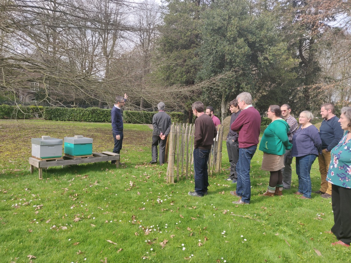 Visite des ruches dans le parc de l'IRM