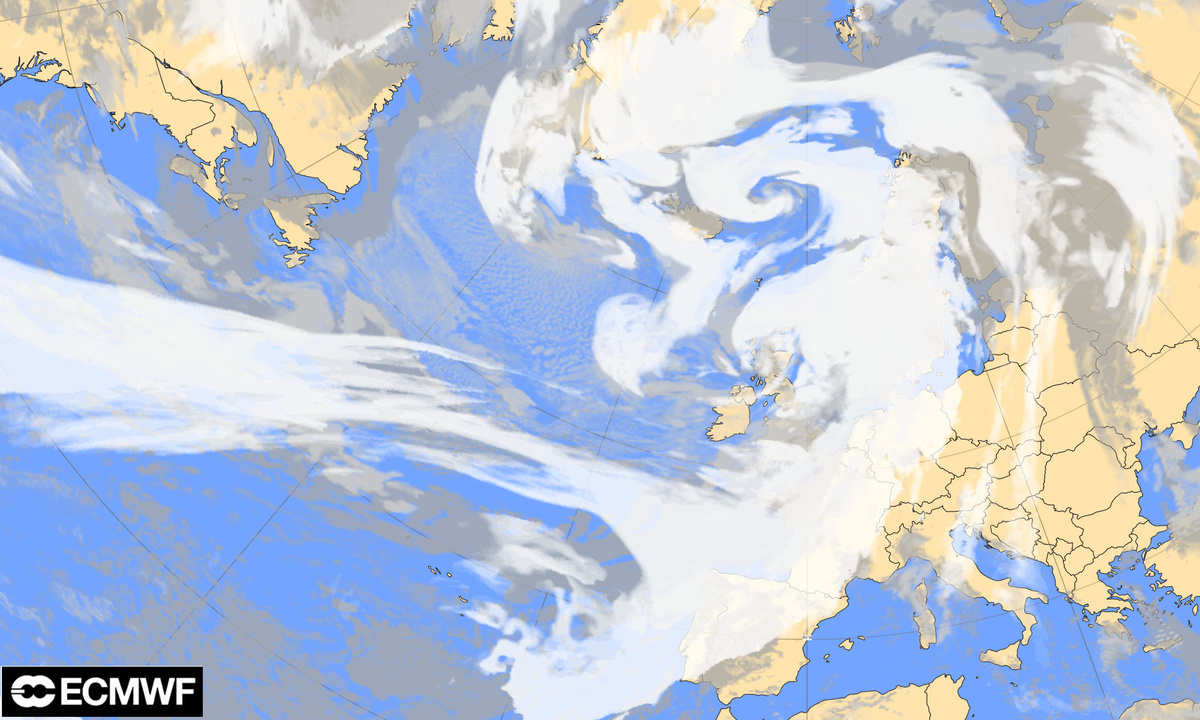 Prévision de la couverture nuageuse de ce dimanche 9 février à 12h UTC (source : ECMWF).