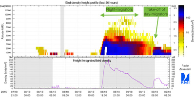 Figure 2 : La figure 2 montre le même type de données que celles de la figure 1 mais pour le radar de Zaventem. On peut y voir que les oiseaux volent nettement plus près du sol dans cette région.