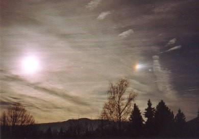 Een prominent gekleurde bijzon